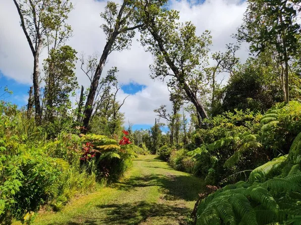11-2060 Alii Wao Rd, Volcano, HI 96785