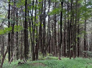 Stoneman Rd, Woodlawn, VA 24381