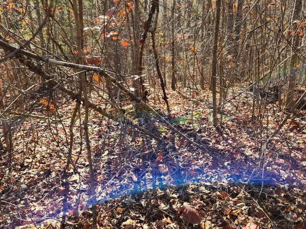 48 Myers Rd, Tellico Plains, TN 37385