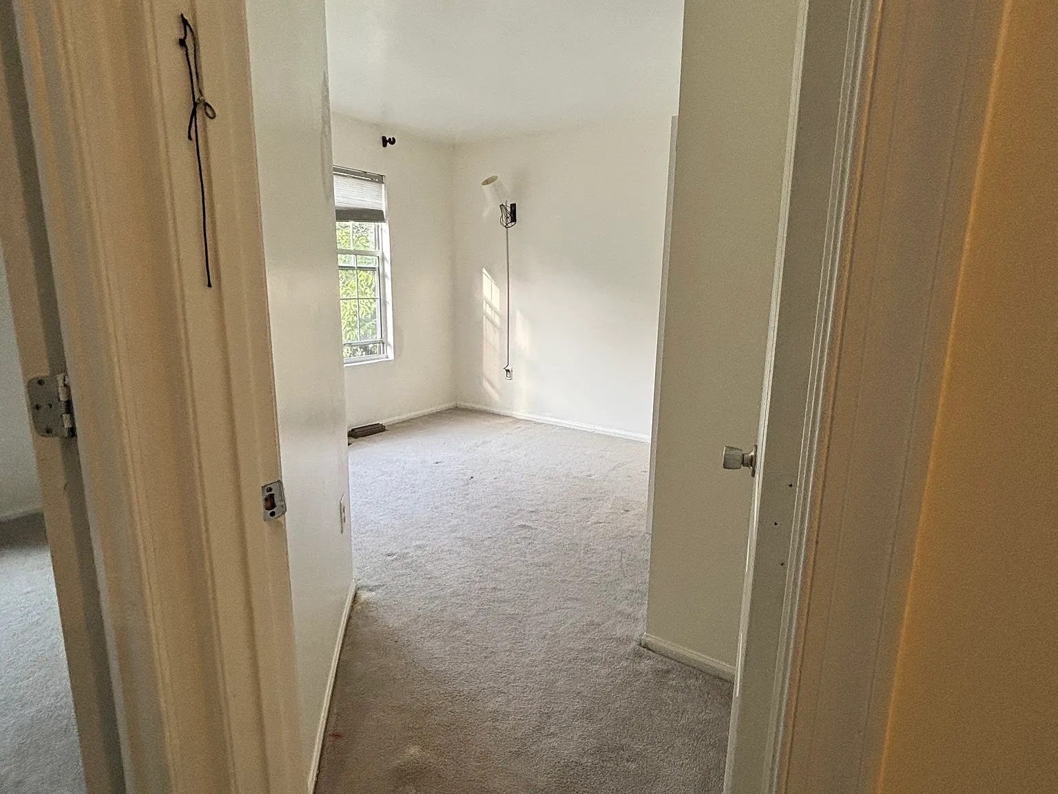 3 bed, 1296 sqft, $2,900 — Photo 3