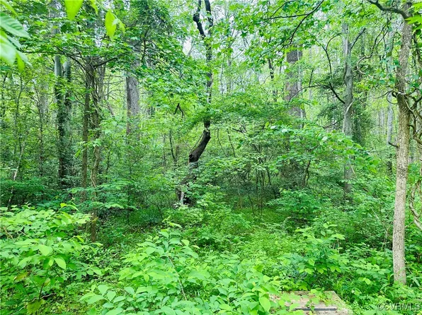 0 Pouncey Tract Rd, Rockville, VA 23146