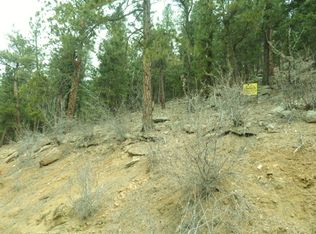 31 N Hill Dr, Bailey, CO 80421