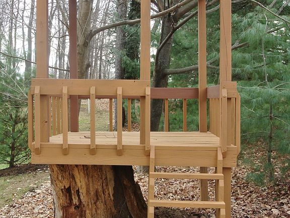 Tree House