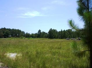 1175 Keith Town Rd, Society Hill, SC 29593