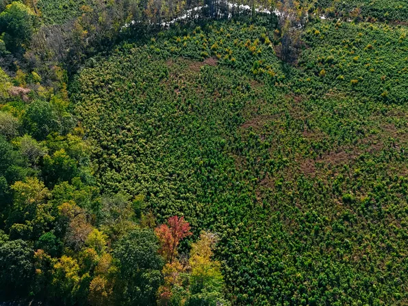 Tbd Cove Road, Hertford, NC 27944