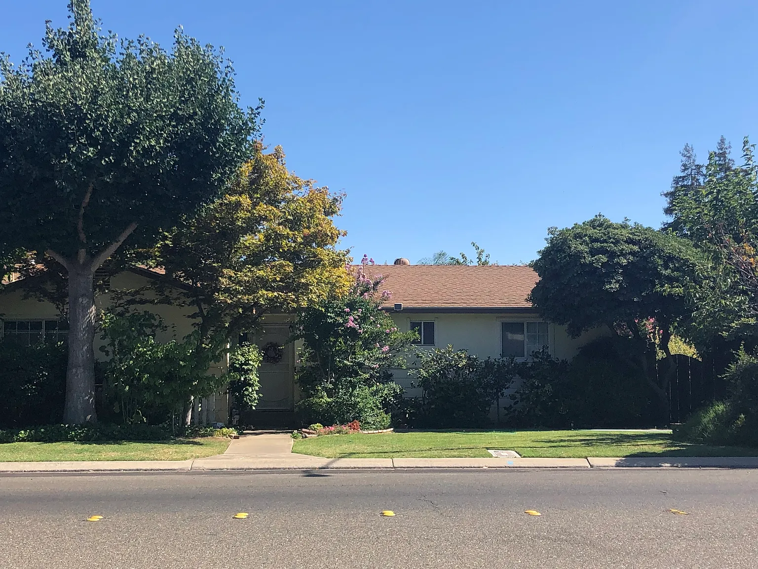 1486 E Olive Ave photo 1