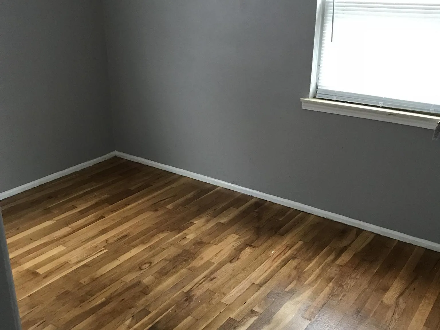 2 bed, 800 sqft, $995 — Photo 3