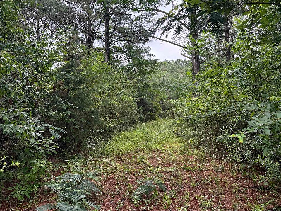 2nd image of 29660 Hammett Rd