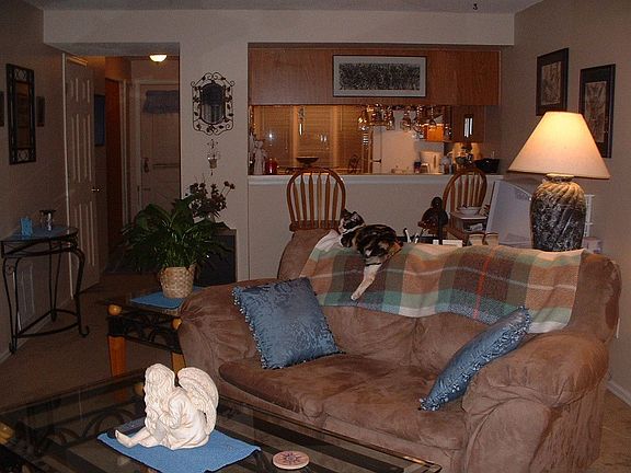 Spacious L/R with fireplace