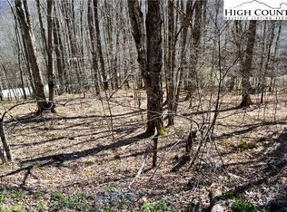 130 E Blueberry Lane, Beech Mountain, NC 28604