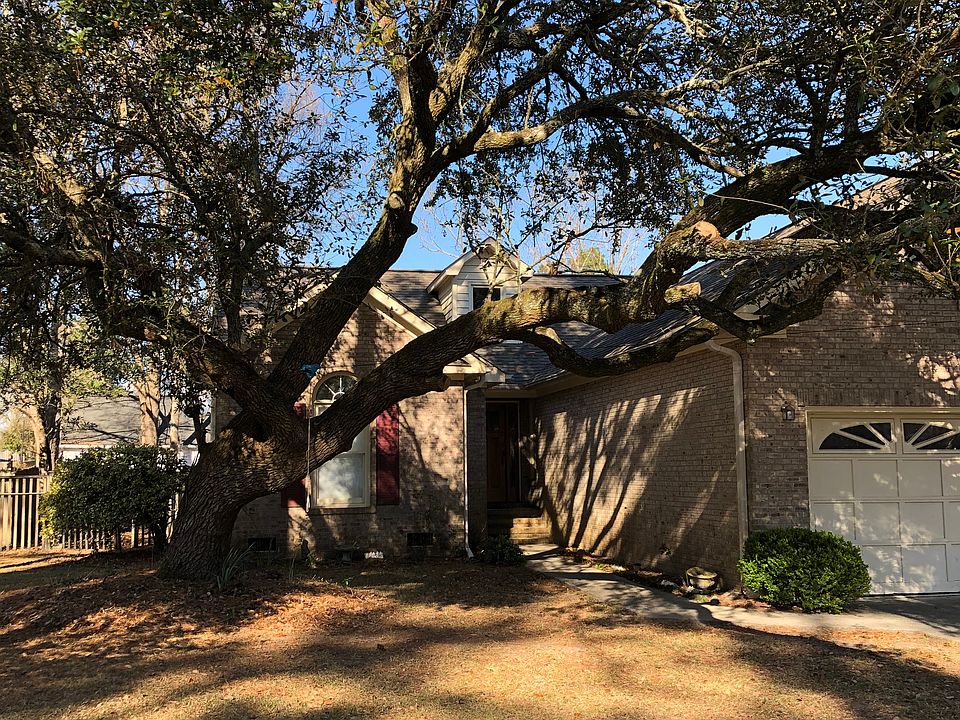 Beautiful mature Live Oak 