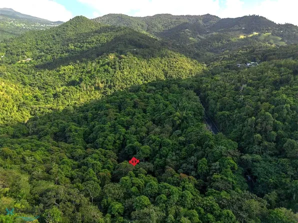 0 Bo Cedros Carr Kmhm 14 #185-3, Carolina, PR 00983