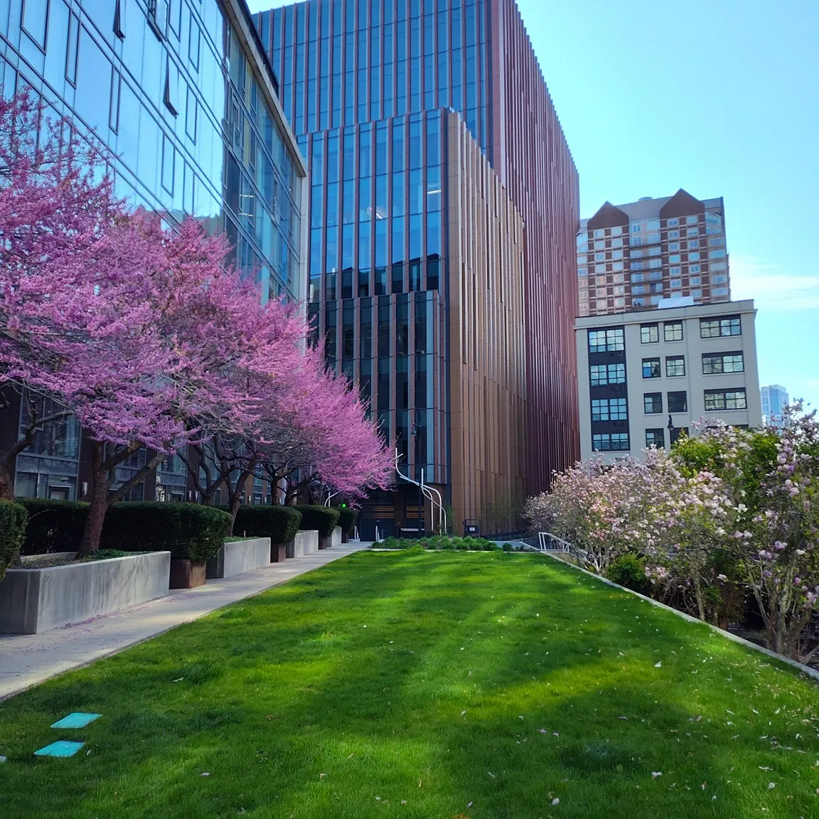 1 bed, 1.0 bath, 9999 sqft, $3,500 — Photo 3