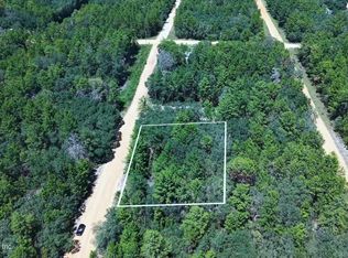 0 GLORIA Avenue, Interlachen, FL 32148