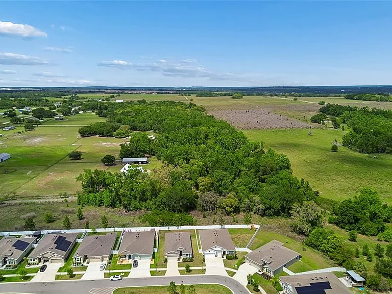 35977 Morse Willow Ct — Photo 67