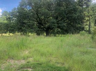 27516 Patterson Rd LOT 6.02, Springfield, LA 70462