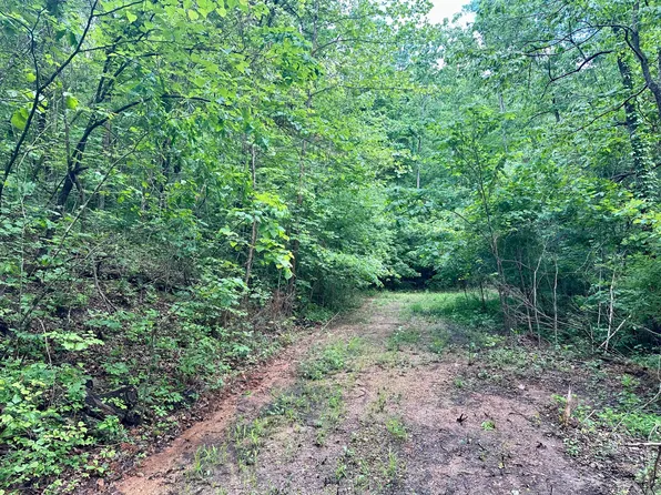 2618 Carter Route M, Van Buren, MO 63965