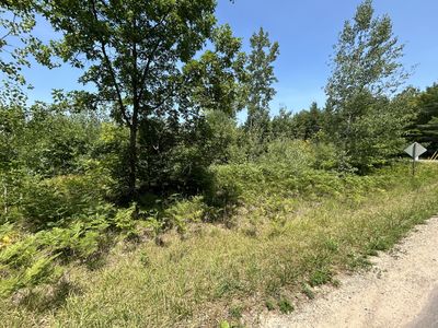 Hayes Tower Rd, Gaylord, MI, 49735