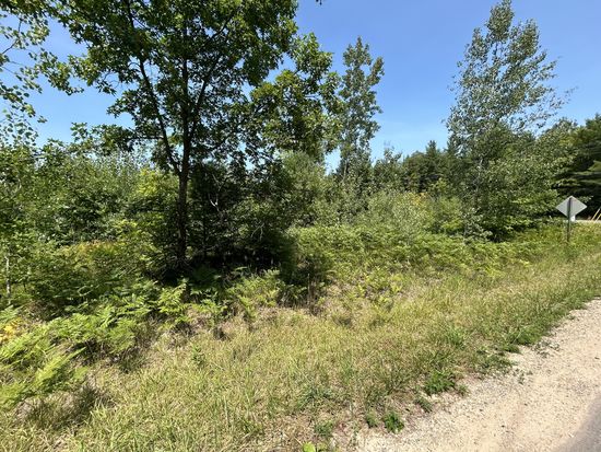 Hayes Tower Rd, Gaylord, MI 49735
