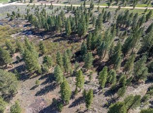 25 Trail Creek Ct, Idaho City, ID 83631