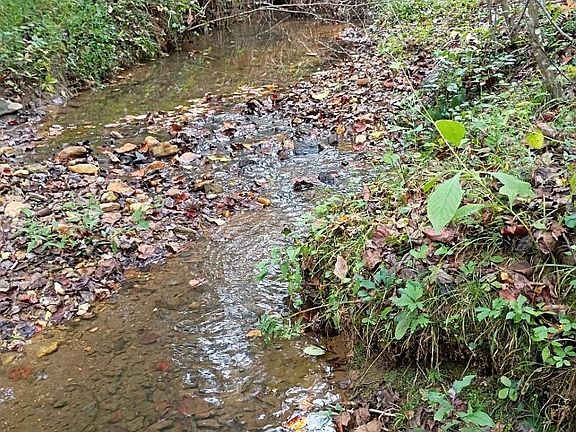 5th image of 3024 Camp Creek Rd