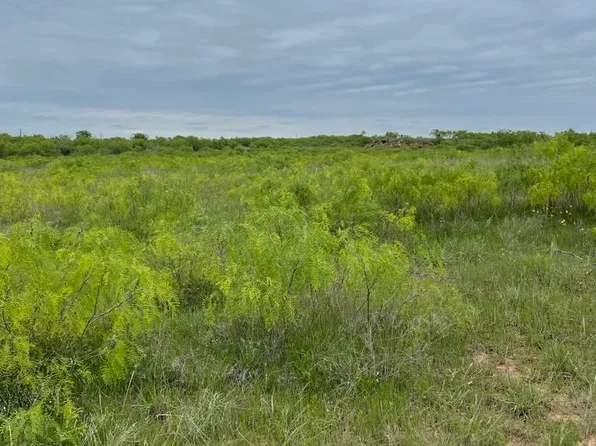 0 Hopewell Rd, Bellevue, TX 76228