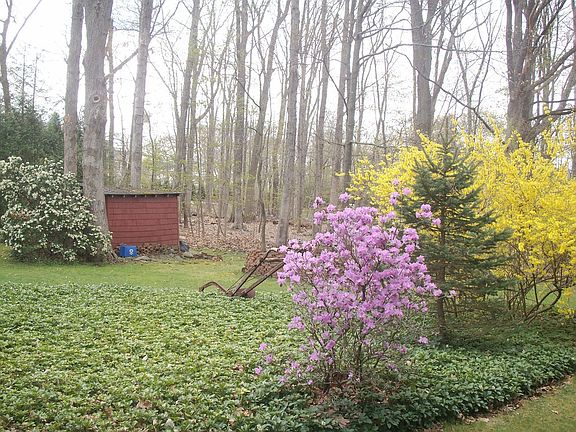 View from rear of property