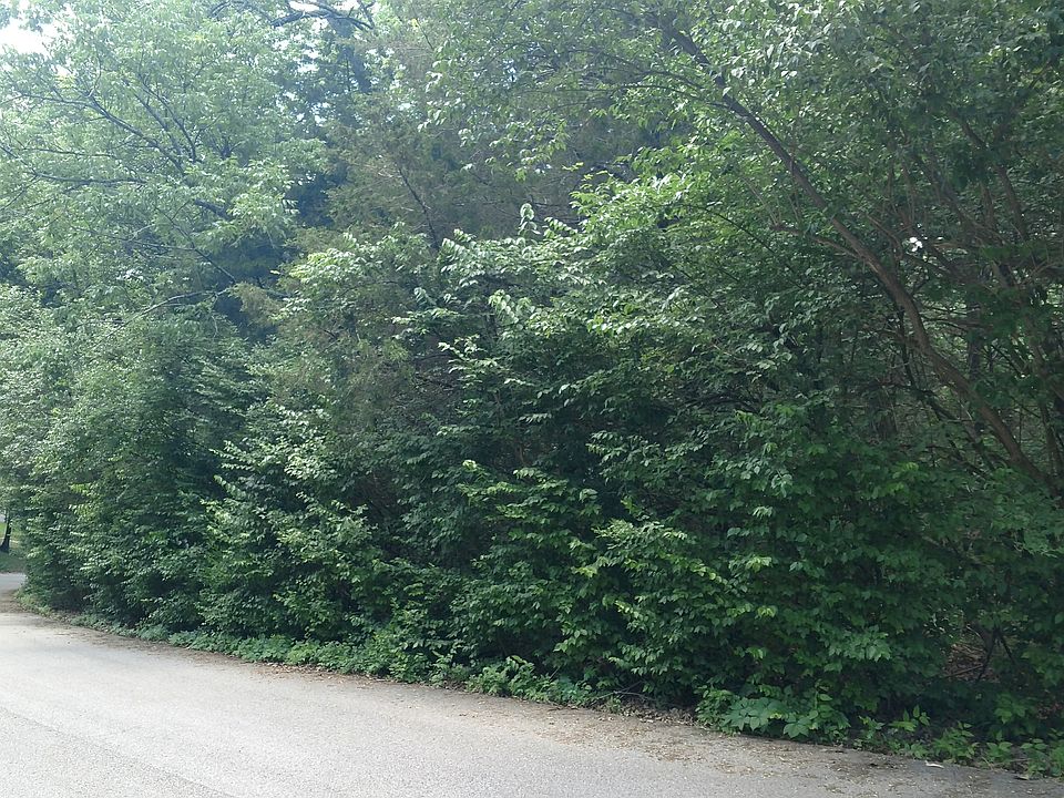 2nd image of 865 Hillhaven Ct