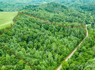 Meadows Town Rd, Marshall, NC 28753