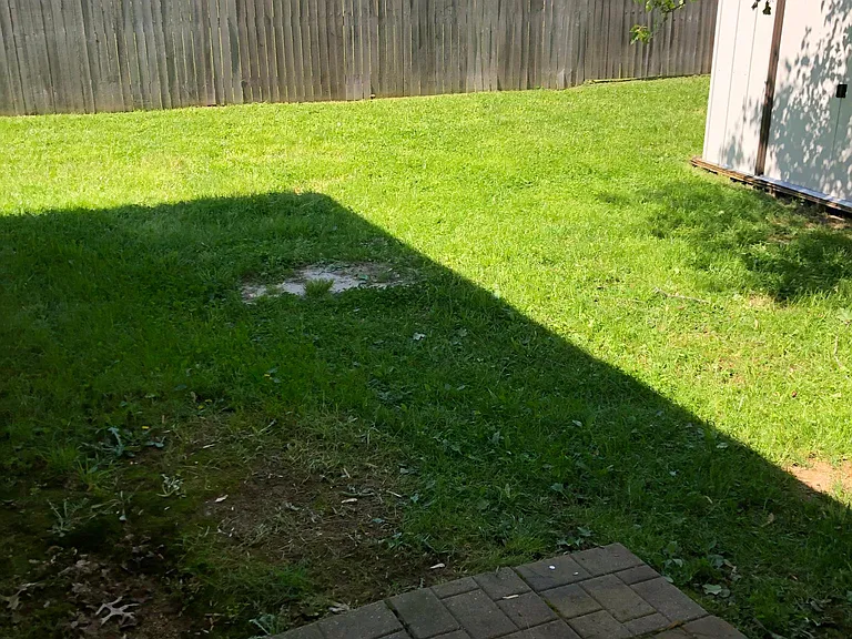6908 Maize Dr — Photo 12