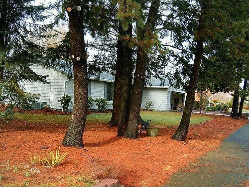 2nd image of 1231 NE 9th Ave