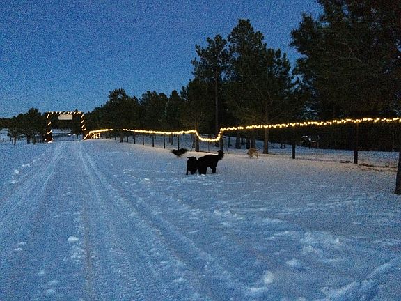 Front entry March 2015