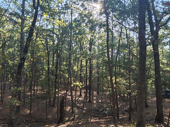5th image of Kimbrough Creek Rd