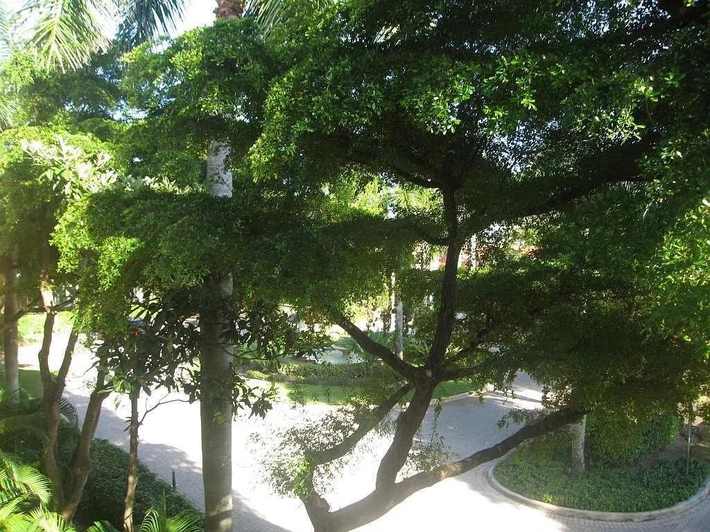 160 (4) — Photo 2