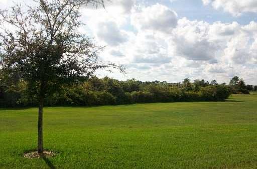 Conservation view