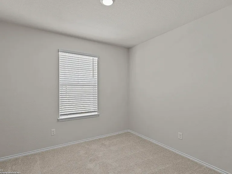 819 Bluegrass Point — Photo 8
