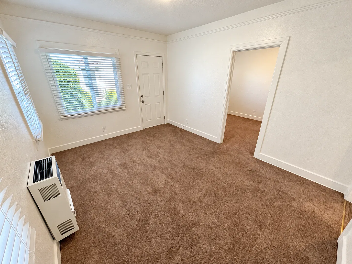 121elmed — Photo 3