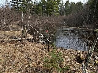 4th image of 9240 W River Rd