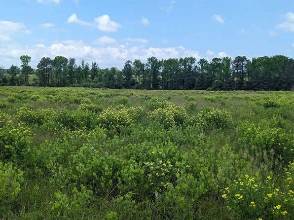 County Road 4207, De Kalb, TX 75559
