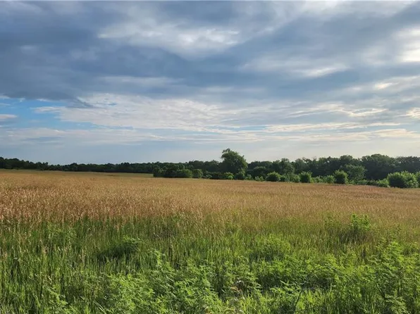 1036 N 1st St, Baldwin City, KS 66006