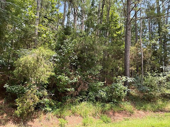 3rd image of 72 County Road 160
