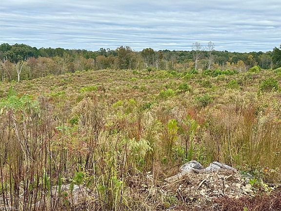 5th image of LOT 10 Skeens Mill Rd