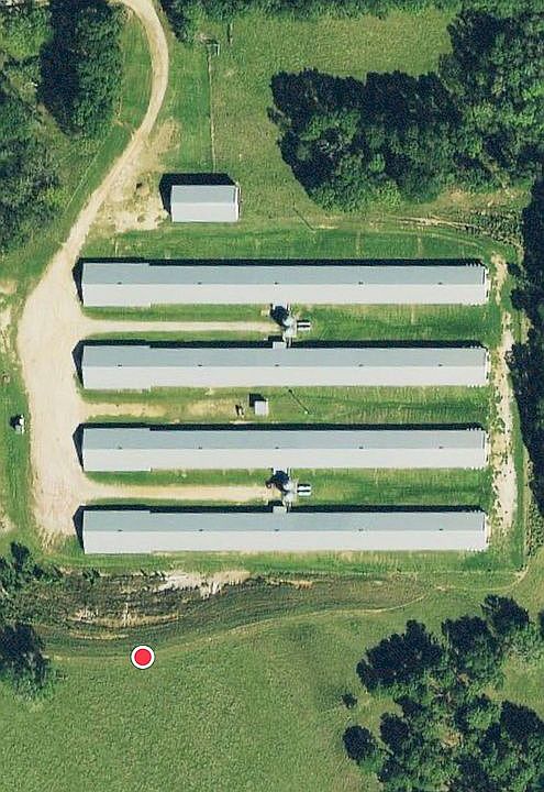 Very profitable poultry farm