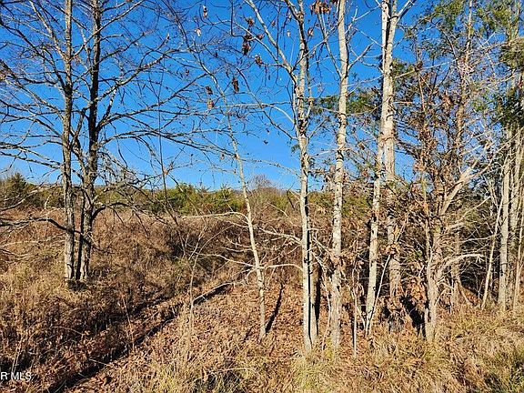 4th image of N Wells Hill Ln