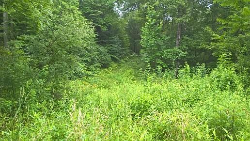 1st image of 986 Pine Br