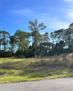 15 Red Hawk Ln, Pt Saint Joe, FL, 32456