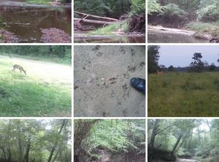 1035 Ellis Ferry Rd, Gaffney, SC 29341