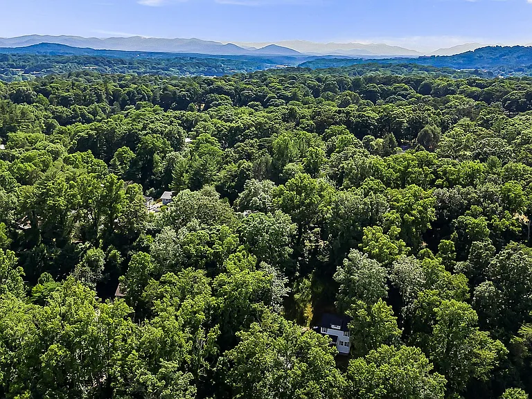 Aerial shot above home, showing mostly treed canopy, with Beverly Hills neighborhood just behind this lot