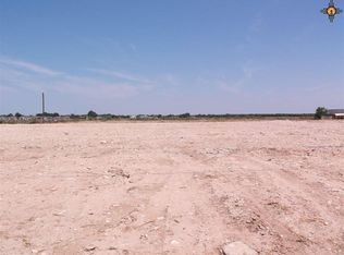 610 E Elgin Rd, Carlsbad, NM 88220