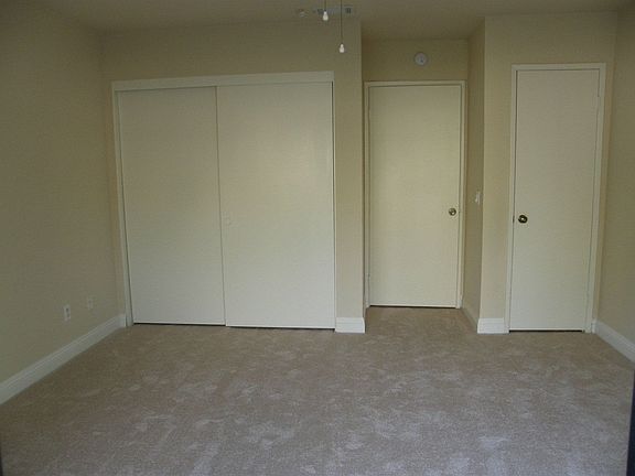 New Carpet